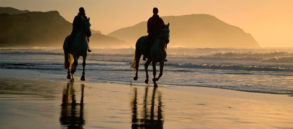 header-cabalgatas